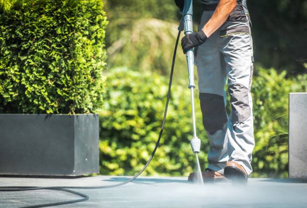 Best Roof Cleaning and Mildew Removal in Owatonna, MN